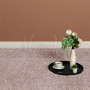 Килим Shaggy De Luxe 8000/255 - 50х100 Килим Shaggy De Luxe 8000/255 - 50х100