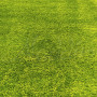 Килим Fantasy 12000/130 о - 100х150 Килим Fantasy 12000/130 о - 100х150