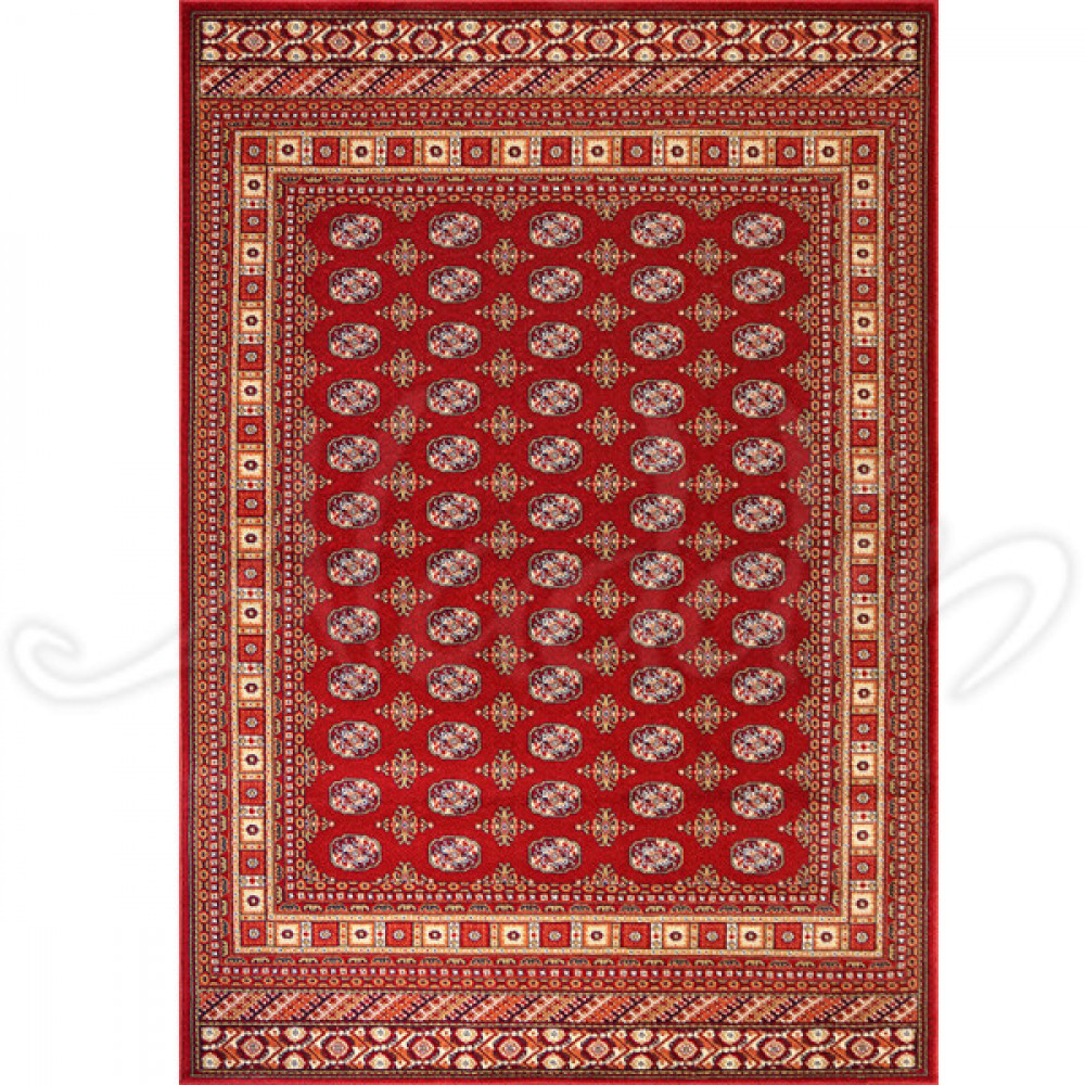 Килим Amina 27005/220 - 160х230
