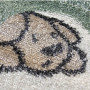 Килим Dream 18099/130 - 120х170 Килим Dream 18099/130 - 120х170