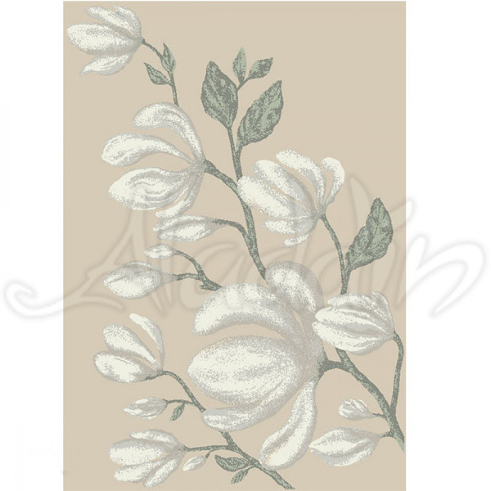 Килим Квіти Dream 18178/120 - 160х230