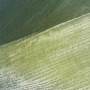 Килим Tarz 3121M Green/Green (o) - 200х290 Килим Tarz 3121M Green/Green (o) - 200х290