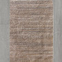 Килим Domino 8701/110 (Grey) - 160х230