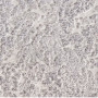 Килим Itea 42003/106 - 78х150 Килим Itea 42003/106 - 78х150